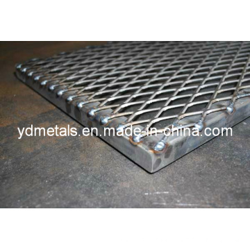 Expanded Mesh Sicherheitsgitter